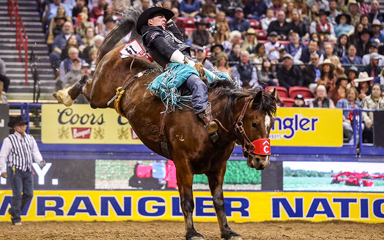 Jess Pope wearing western attire and chaps riding a bucking horse bareback at a rodeo.